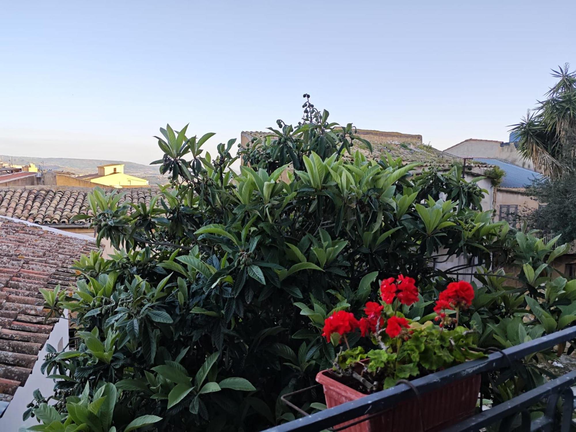Villa Amoroso - Ospitalita Mediterranea Agrigento Eksteriør bilde